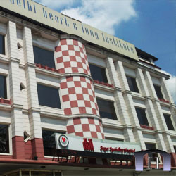 Delhi Heart and Lung Institute project